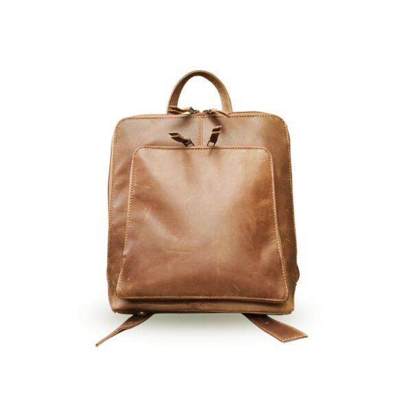 Brown Zipper Leather Bag Pack